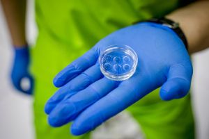 The grim truth about egg-freezing