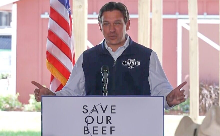 Ron DeSantis gets into the meat of the issue. Credit: The Florida Channel