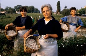 Rural France has lost its spirit