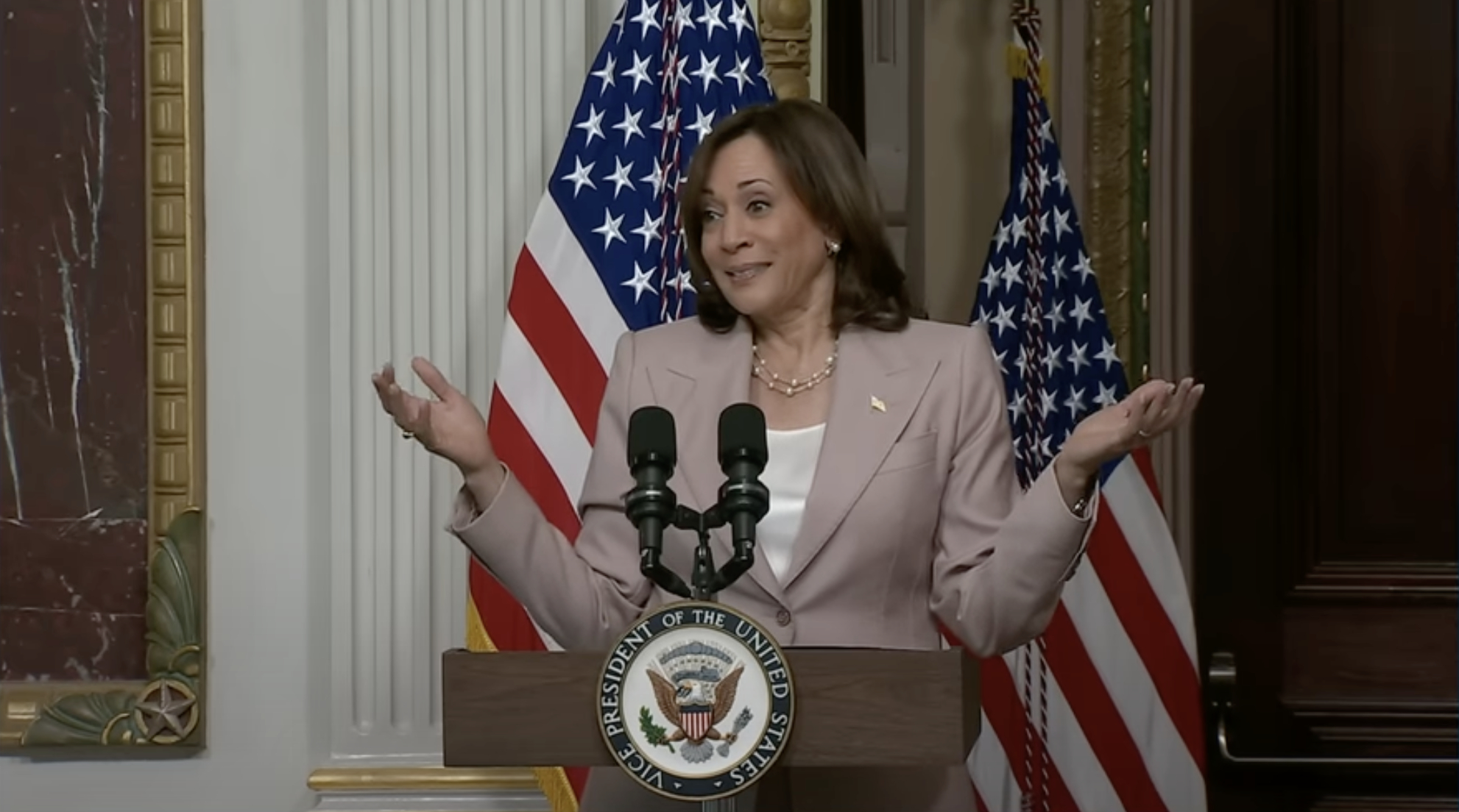 A favourite has emerged to replace Joe Biden. Screenshot/YouTube