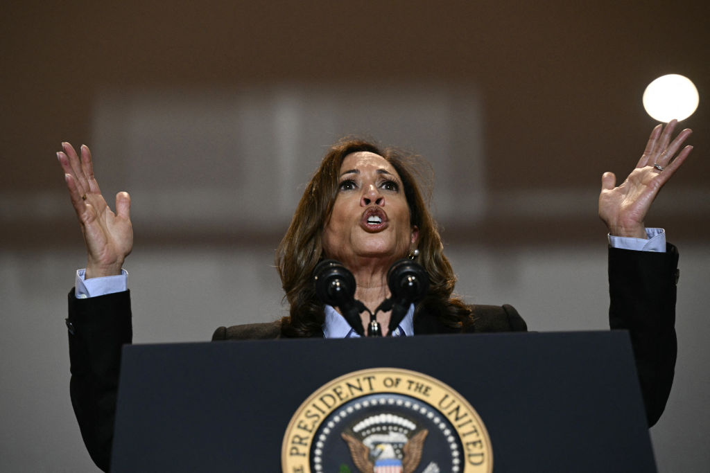 Kamala Harris is the big winner from US jobs report