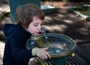 How fluoride fears went mainstream