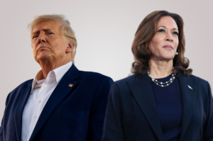 Trump vs Harris is just a front