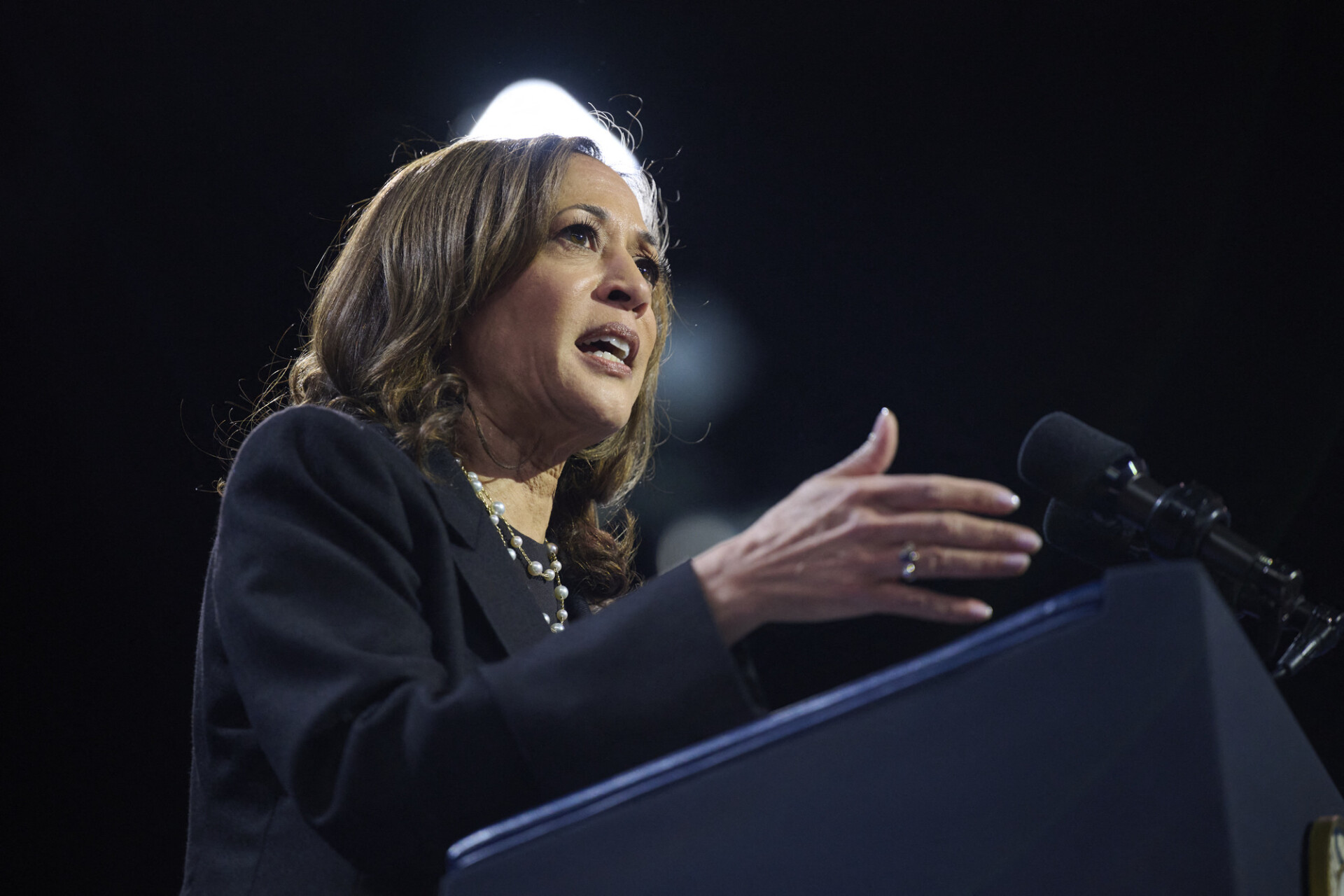 Kamala Harris lacks Biden's blue collar appeal. Credit: Getty