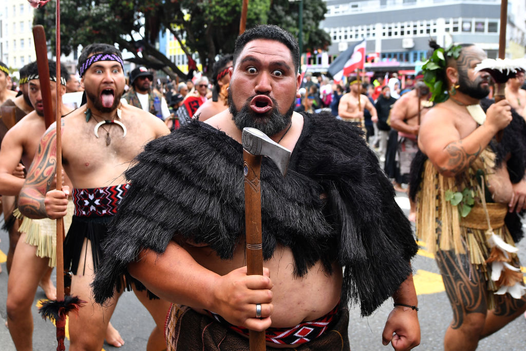 Maori protests expose Left and Right’s ethnonationalist delusions