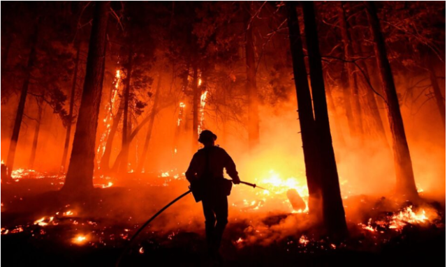 California leaves its poor to burn