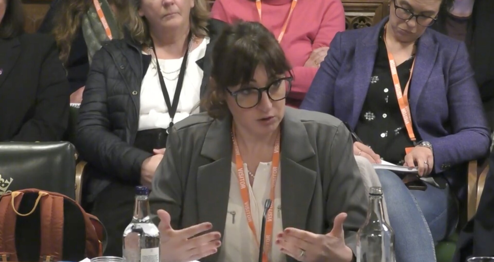 Professor Simona Giordano speaks at yesterday's hearing. Credit: parliamentlive.tv