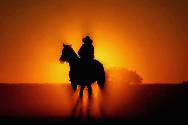 Dutton is courting the left-behind. Quinn Rooney/Getty Images