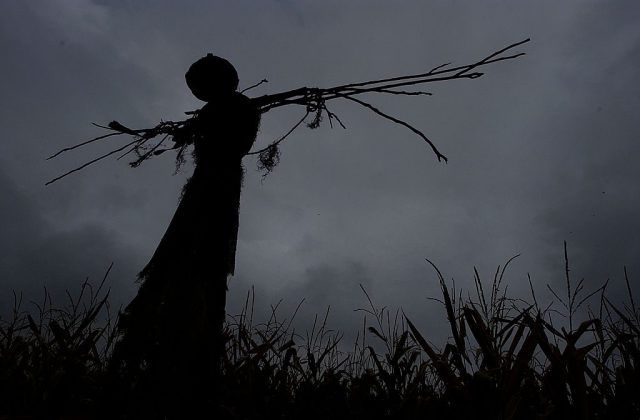 Americans are seeing ghosts