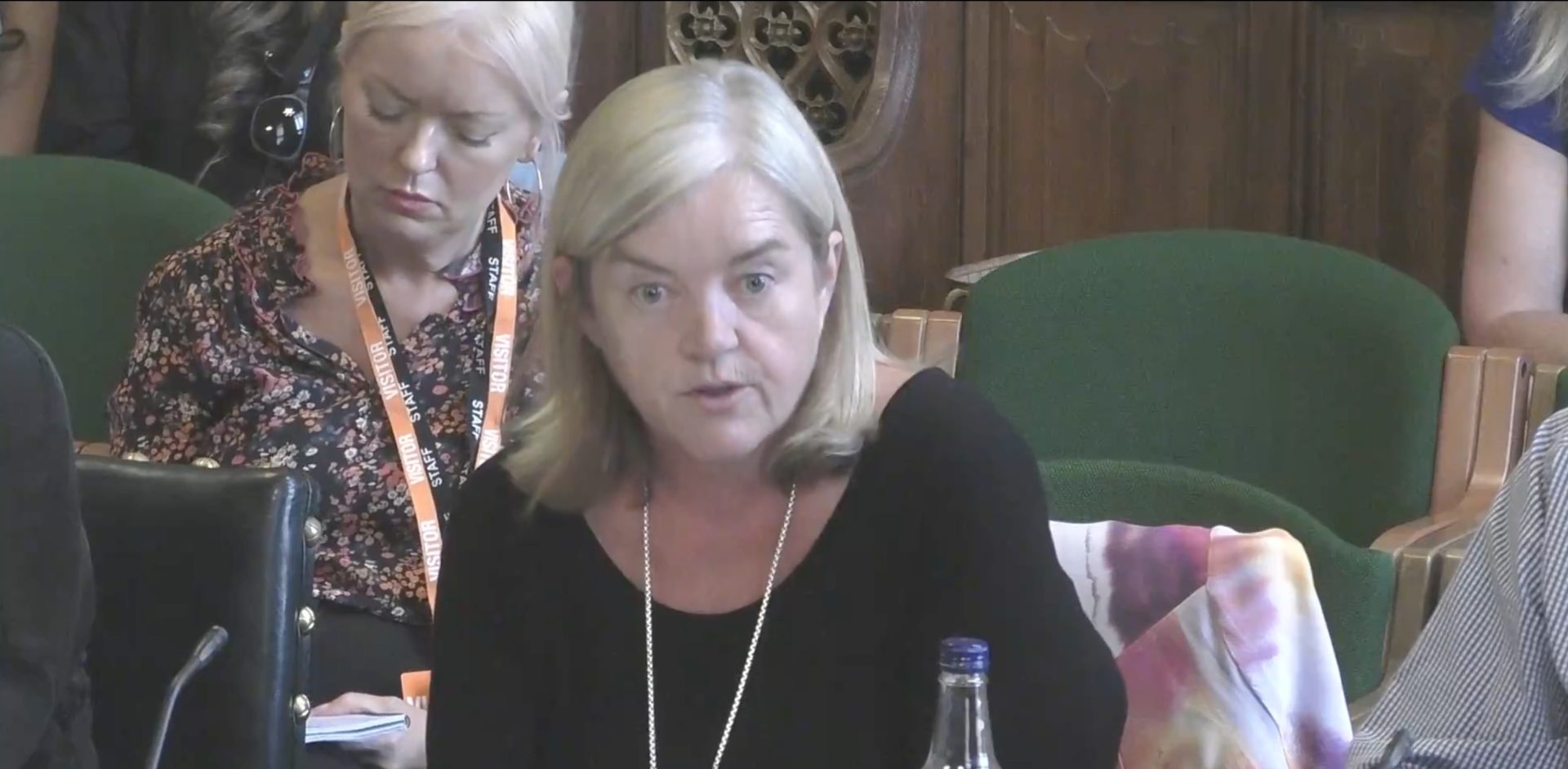 Baroness Casey addresses the Home Affairs Committee this morning. Credit: Parliamentlive.tv