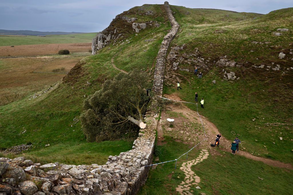 The Sycamore Gap tree vandals have each been jailed for more than four years. Credit: Getty