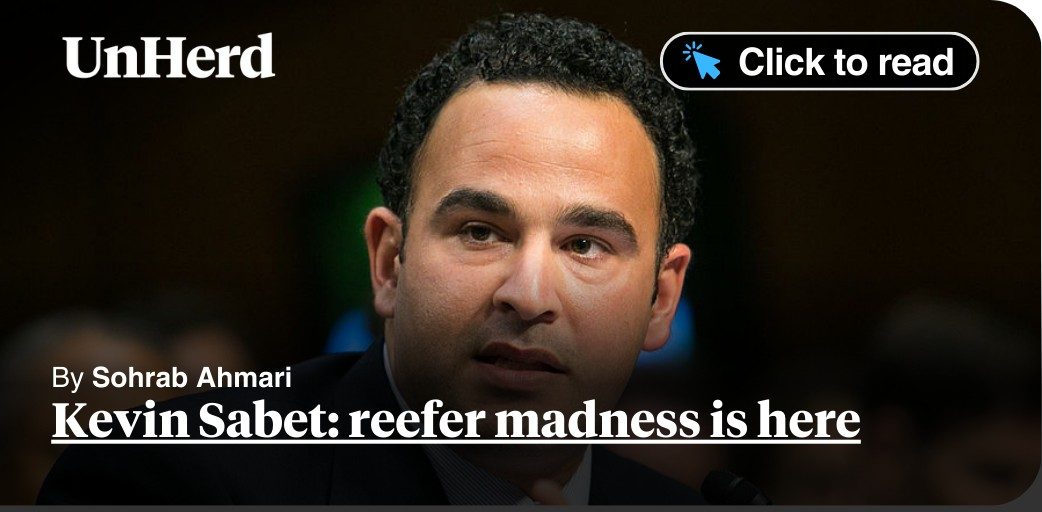 Kevin Sabet: reefer madness is here