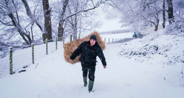 Britain's food system is vulnerable to crises. Phil Hatcher-Moore/AFP/Getty Images 