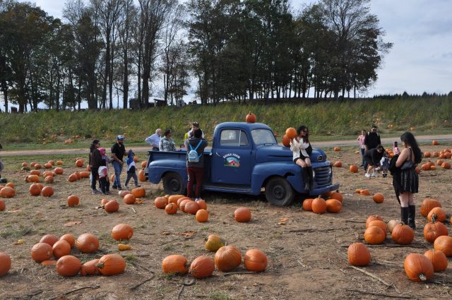'Gaver Farm is one of Frederick County's agricultural gems.' Credit: Farahn Morgan 