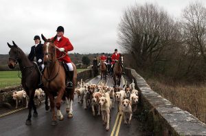 Could this be the final Boxing Day hunt?
