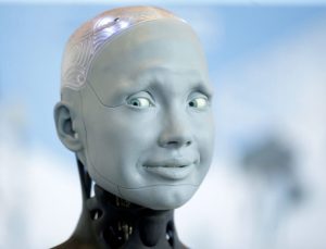 How to survive the Machine age