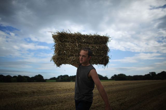 Big Food has devoured British farmers