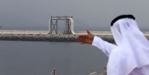 UAE break from Opec signals new era of energy independence