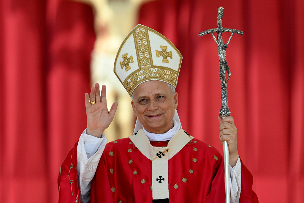 Was Pope Leo elected to fight Trump?