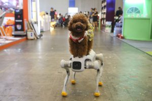 Robo-dogs will ruin your life