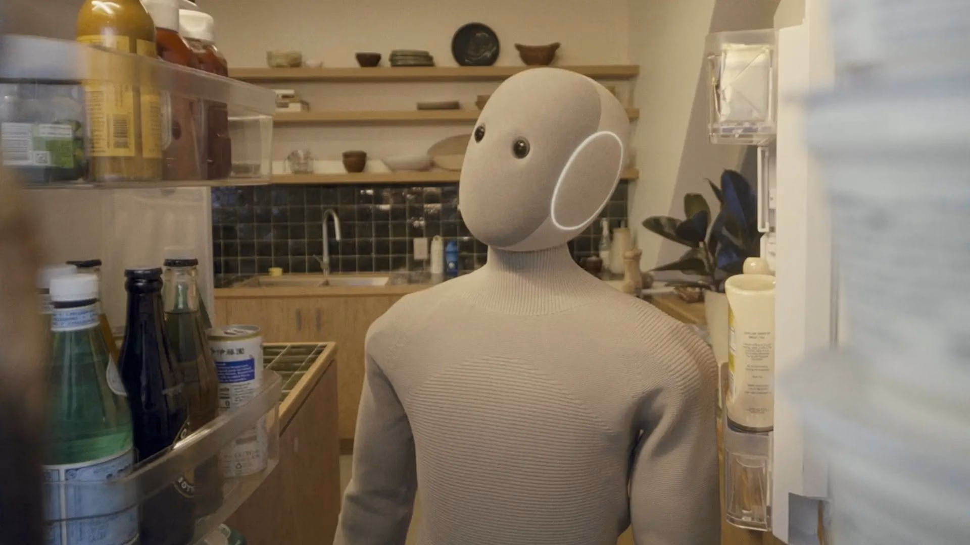 Why people hate humanoid robots They should be cute rather than lifelike