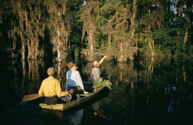 How to survive in a Louisiana swamp