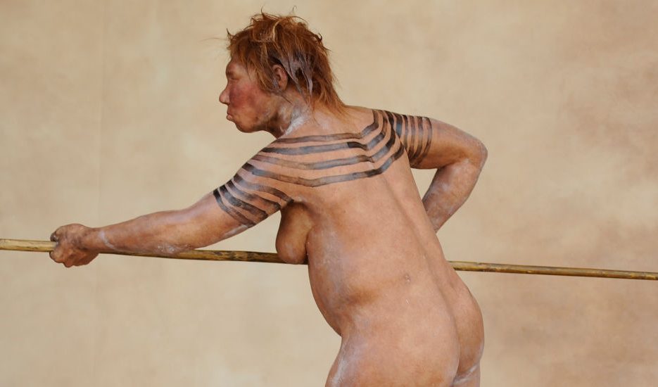 Reconstruction of a Neanderthal woman based on fossil evidence