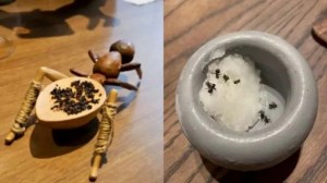 Why do elite chefs want us all to eat bugs?