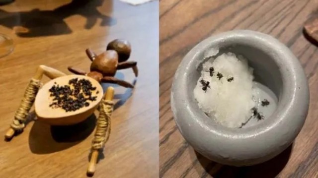 Images of ants in dishes at Joseph Lidgerwood's Seoul restaurant went viral online. Credit: Instagram