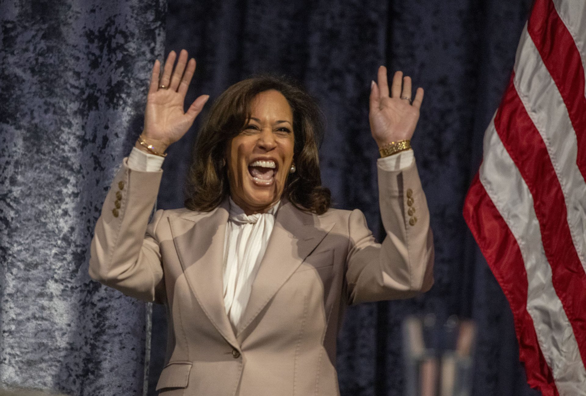 ‘Harris is a failed representative for an organisation with deteriorating fortunes.’
(Bill Pugliano/Getty)
