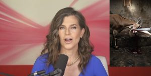 Nancy Mace has mastered the art of YouTube cringe