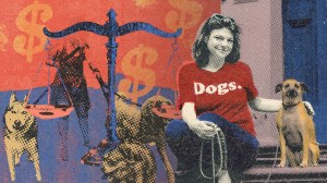 The chew toy that ate my small business