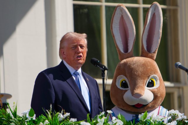 How Trump won the triviality war