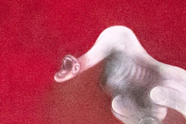 How woke traumatized the West